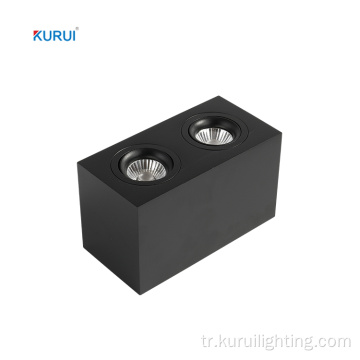 Çift kafalı yüzey montajı dikdörtgen ayarlanabilir LED Downlight